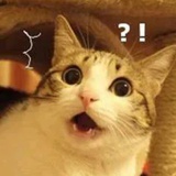 这话你都敢说