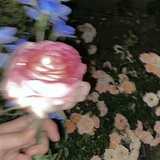 豆友BfdhdjYCi8
