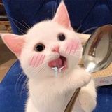 秋月
