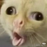 山茶泷