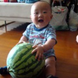 了望狗