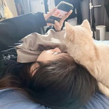 简单点