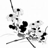 冷血秋雁