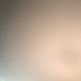 牡丹花开