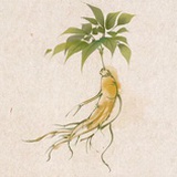 天天天蓝