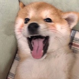 瑜.