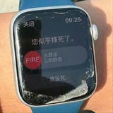 小狗收藏家