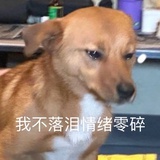 白猪今天和好没