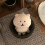 鸡翅Zzz