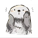 豆友PRNtPiRKZw