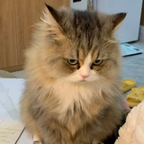 臭烂烂