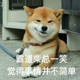 剪了短发时空