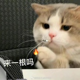 豆友272622508