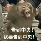 发疯冲爆世界