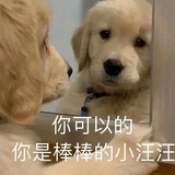 装盘花生