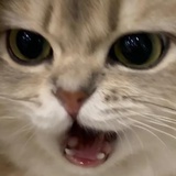 我要暴富