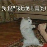 对不起有厌蠢症