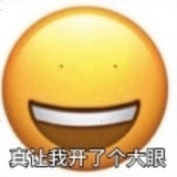 扶桑花