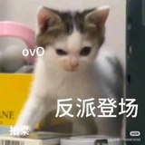 反派小猫糕手