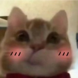 豆友272999049