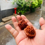 好吃好喝一般人