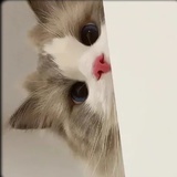 鹿鸣