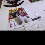 叨乐妈妈