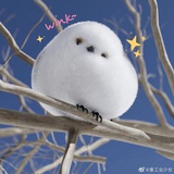 画画画画