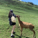 豆友273225577