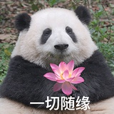 爱花护花