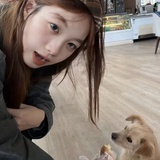 闪闪