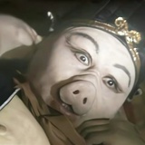 好好学习就开始