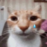豆友7566573016