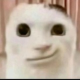 博