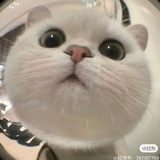 豆友_UgKwF8gXI