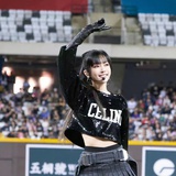姊寶