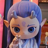 网线巡回金渐层