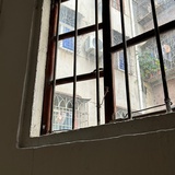 黛玉倒拔垂杨柳
