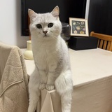 盛典的尾曲