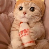 甜飞飞