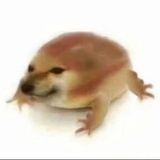 豆豆1113