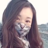 飞鸟