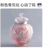薛定谔的流浪猫