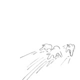 公鸡丽