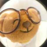小鱼吃没吃