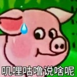 nono