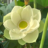 郡齋讀書志