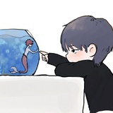 昭昭如愿