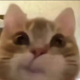 小元
