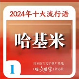 哈基米先生